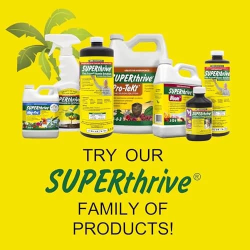 SUPERthrive Plant Vitamin Solution & Jobe's Fertilizer Spikes Bundle 1 Pint (29.57ml) + 15 Count | Boosts Growth & Nourishes Roots thumbnail 9