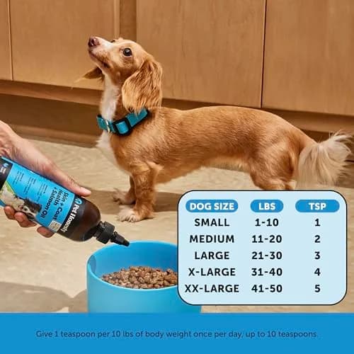 Pet Honesty Skin + Coat Health Oil for Dogs with Salmon Oil 355ml (12 oz) | Nutritionist Approved for Allergy Itch Relief thumbnail 5