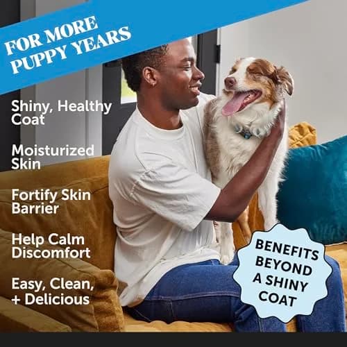 Pet Honesty Skin + Coat Health Oil for Dogs with Salmon Oil 355ml (12 oz) | Nutritionist Approved for Allergy Itch Relief thumbnail 2
