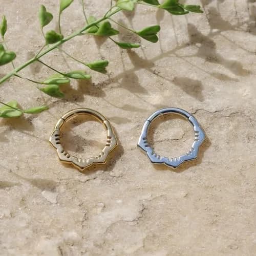 NONTAI 16G Flower Septum Ring 10mm Inner Diameter | Hinged Clicker for Daith, Tragus, Cartilage thumbnail 4
