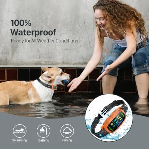 FAFAFROG Dog Bark Collar Rechargeable Smart Collar Orange | Adjustable Sensitivity & Waterproof thumbnail 6
