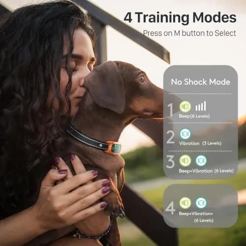 FAFAFROG Dog Bark Collar Rechargeable Smart Collar Orange | Adjustable Sensitivity & Waterproof thumbnail 3