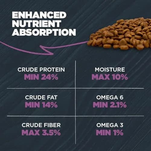 Blackwood Sensitive Premium Dry Dog Food Salmon Meal & Brown Rice | Supports Digestion & Skin (120 chars) thumbnail 7