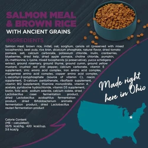 Blackwood Sensitive Premium Dry Dog Food Salmon Meal & Brown Rice | Supports Digestion & Skin (120 chars) thumbnail 8