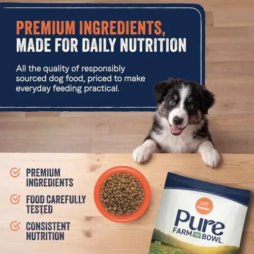 CANIDAE Puppy Dry Food Salmon & Sweet Potato | Limited Ingredient, Protein-Rich Nutrition thumbnail 5