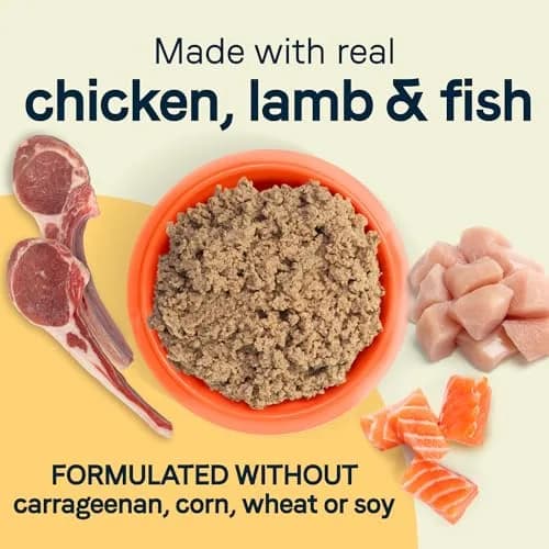 CANIDAE All Life Stages Wet Dog Food, Multi-Protein, 22 oz | Suitable for Puppies & Seniors thumbnail 4