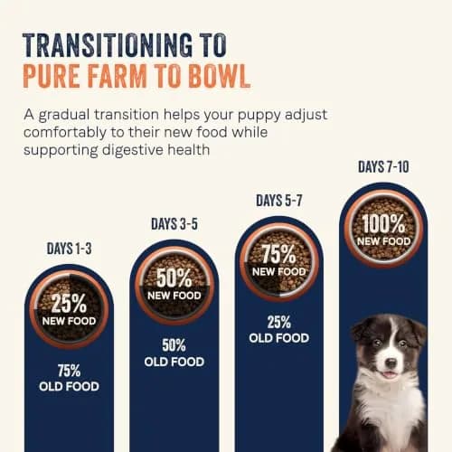 CANIDAE Puppy Dry Food Salmon & Sweet Potato 22 lb | Natural, Limited Ingredient, Supports Digestion & Immunity thumbnail 9