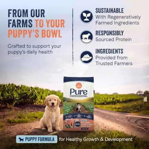 CANIDAE Puppy Dry Food Salmon & Sweet Potato 22 lb | Natural, Limited Ingredient, Supports Digestion & Immunity thumbnail 3