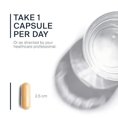 Vital Nutrients Vitamin B-Complex 240 Capsules | Supports Energy & Brain Function thumbnail 4
