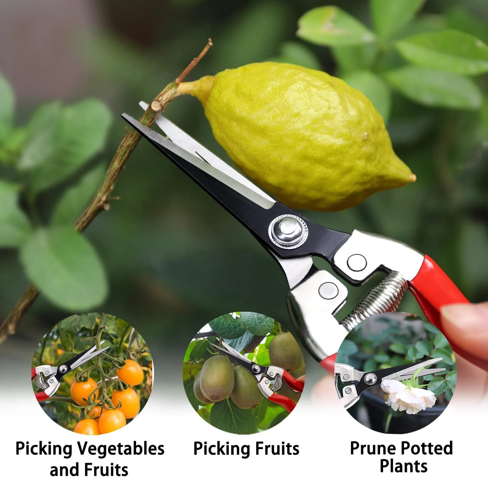 Kynup 3Pack Pruning Shears, Garden Shears, Pruning Shears for Gardening, Gardening Shears Scissors Clippers, Garden Tools Set with Gloves, Stainless Steel, Soft Grip Handle thumbnail 6