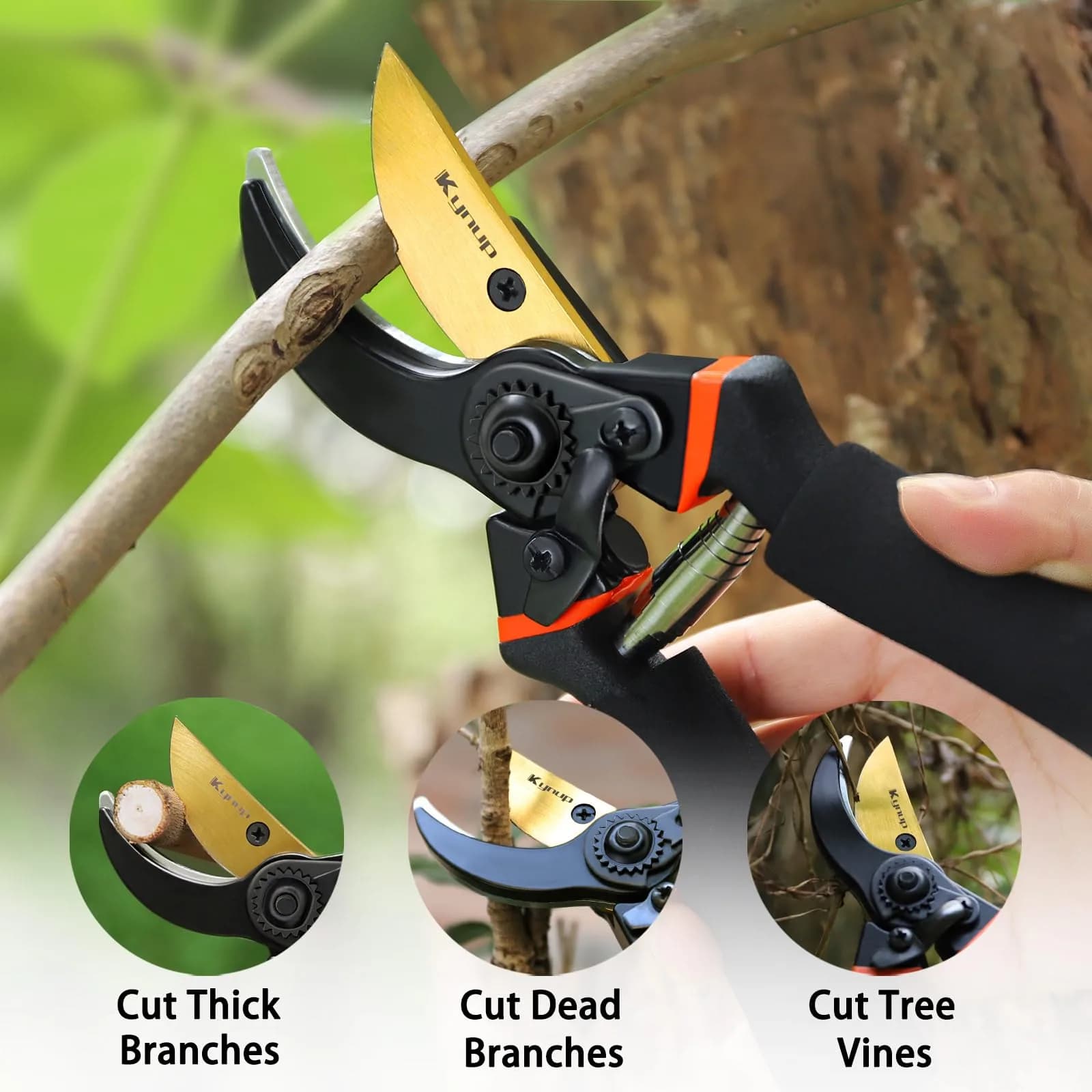 Kynup 3Pack Pruning Shears, Garden Shears, Pruning Shears for Gardening, Gardening Shears Scissors Clippers, Garden Tools Set with Gloves, Stainless Steel, Soft Grip Handle thumbnail 4