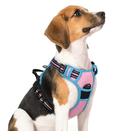 rabbitgoo Dog Harness, No Pull Medium Size | Adjustable, Breathable & Reflective thumbnail 1