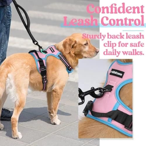 rabbitgoo Dog Harness, No Pull Medium Size | Adjustable, Breathable & Reflective thumbnail 5
