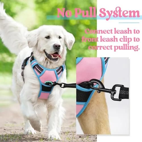 rabbitgoo Dog Harness, No Pull Medium Size | Adjustable, Breathable & Reflective thumbnail 6