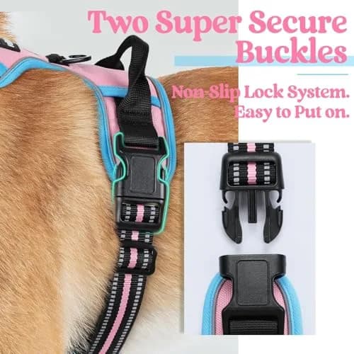 rabbitgoo Dog Harness, No Pull Medium Size | Adjustable, Breathable & Reflective thumbnail 4