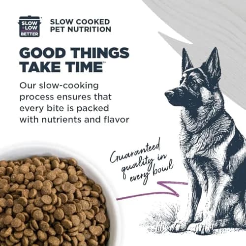 Blackwood Sensitive Premium Dry Dog Food, Salmon Meal & Brown Rice, 10 lb | Supports Skin & Digestion thumbnail 4