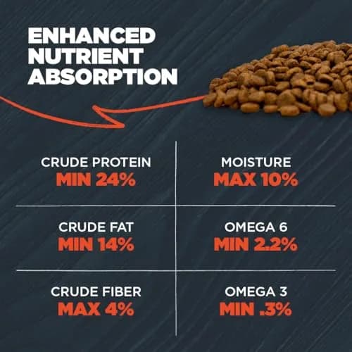 Blackwood Complete Premium Dry Dog Food, Lamb Meal & Brown Rice | Supports Digestion & Coat (120 chars) thumbnail 7