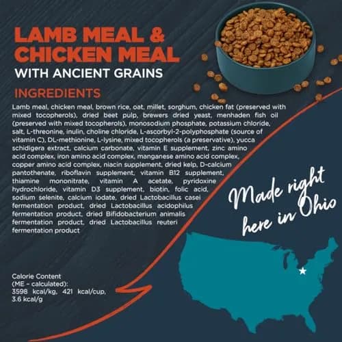 Blackwood Complete Premium Dry Dog Food, Lamb Meal & Brown Rice | Supports Digestion & Coat (120 chars) thumbnail 8