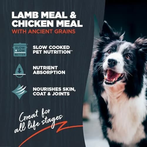Blackwood Complete Premium Dry Dog Food, Lamb Meal & Brown Rice | Supports Digestion & Coat (120 chars) thumbnail 2