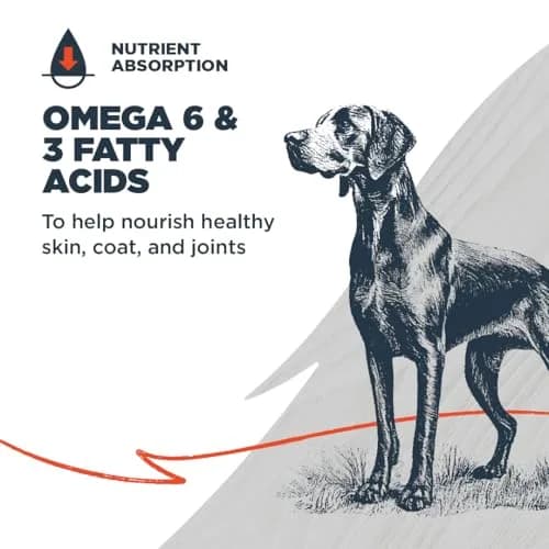 Blackwood Complete Premium Dry Dog Food, Lamb Meal & Brown Rice | Supports Digestion & Coat (120 chars) thumbnail 3