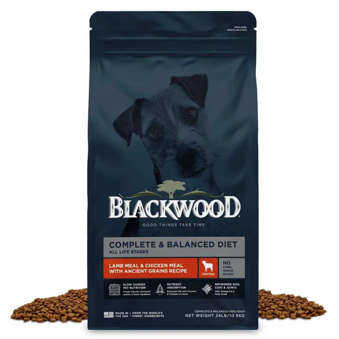 Blackwood Complete & Balanced Dry Dog Food, Lamb Meal & Brown Rice, 24 lb | Supports Digestion & Coat - main product image