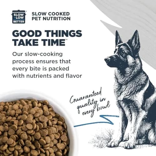 Blackwood Sensitive Skin & Stomach Dry Dog Food, 24 lb | Catfish Meal & Ancient Grains, USA thumbnail 4