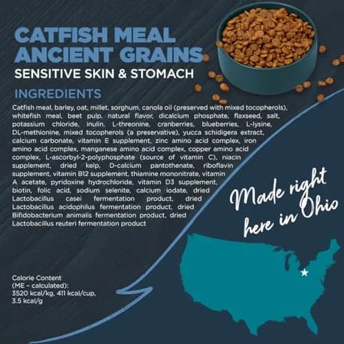 Blackwood Sensitive Skin & Stomach Dry Dog Food, 24 lb | Catfish Meal & Ancient Grains, USA thumbnail 8