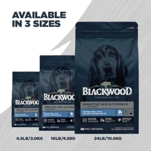 Blackwood Sensitive Skin & Stomach Dry Dog Food, 24 lb | Catfish Meal & Ancient Grains, USA thumbnail 9