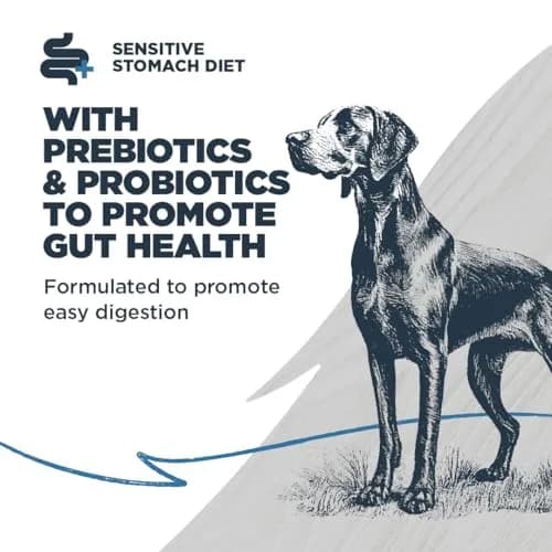 Blackwood Sensitive Skin & Stomach Dry Dog Food, 24 lb | Catfish Meal & Ancient Grains, USA thumbnail 3