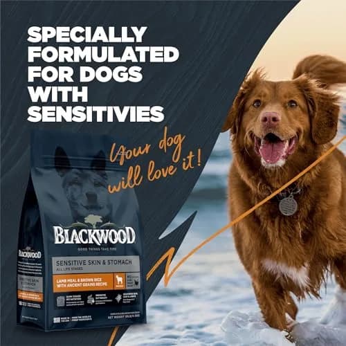 Blackwood Sensitive Premium Dry Dog Food, Lamb Meal & Brown Rice, 4.55kg (10 lb) | Supports Skin & Digestion thumbnail 6