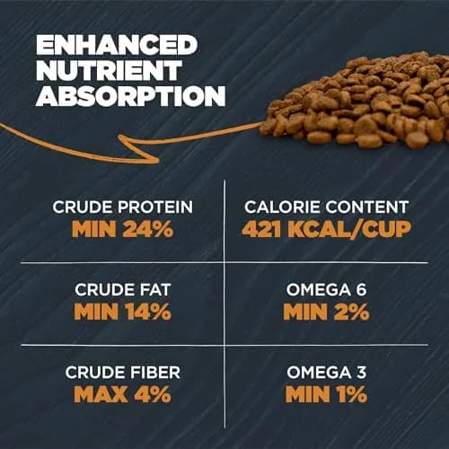 Blackwood Sensitive Premium Dry Dog Food, Lamb Meal & Brown Rice, 4.55kg (10 lb) | Supports Skin & Digestion thumbnail 7
