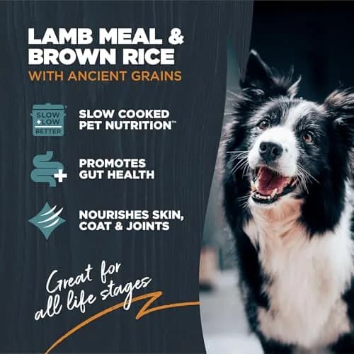 Blackwood Sensitive Premium Dry Dog Food, Lamb Meal & Brown Rice, 4.55kg (10 lb) | Supports Skin & Digestion thumbnail 2