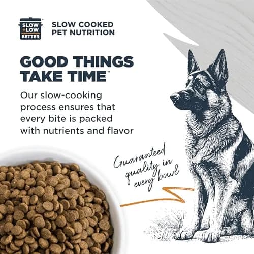 Blackwood Sensitive Premium Dry Dog Food, Lamb Meal & Brown Rice, 4.55kg (10 lb) | Supports Skin & Digestion thumbnail 4