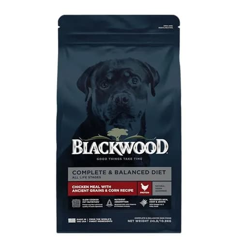 Blackwood Complete & Balanced Dry Dog Food, Chicken Meal, 24 lb | Supports Digestion & Coat thumbnail 1