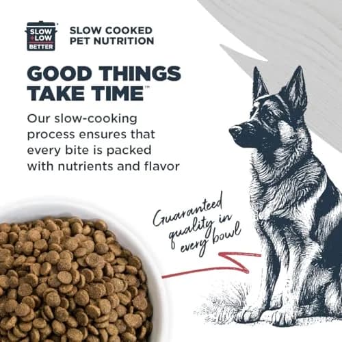 Blackwood Complete & Balanced Dry Dog Food, Chicken Meal, 24 lb | Supports Digestion & Coat thumbnail 4