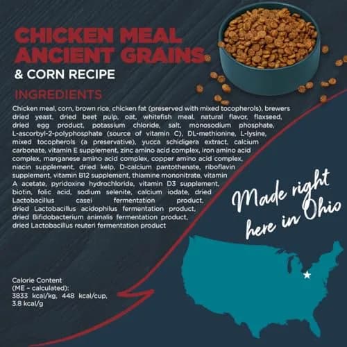 Blackwood Complete & Balanced Dry Dog Food, Chicken Meal, 24 lb | Supports Digestion & Coat thumbnail 8
