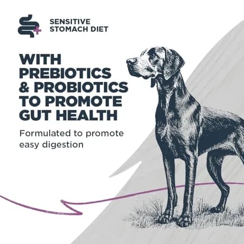 Blackwood Sensitive Premium Dry Dog Food, Salmon Meal & Brown Rice, 24 lb | Supports Skin & Digestion thumbnail 3