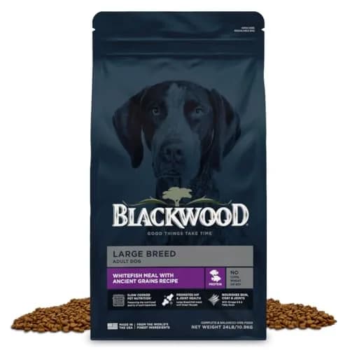 Blackwood Large Breed Premium Dry Dog Food, Whitefish & Ancient Grain 24 lb | Supports Joints & Digestion thumbnail 1