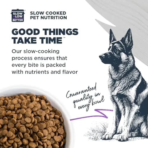 Blackwood Large Breed Premium Dry Dog Food, Whitefish & Ancient Grain 24 lb | Supports Joints & Digestion thumbnail 4