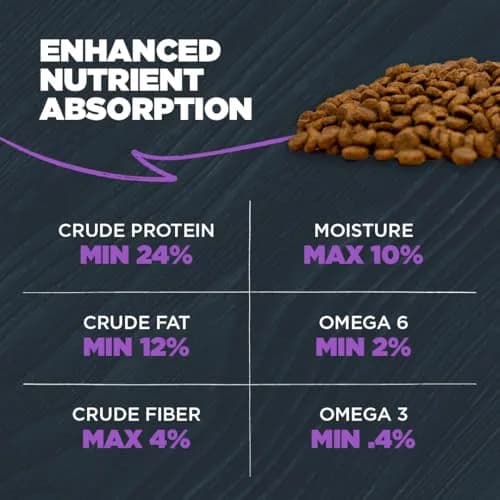 Blackwood Large Breed Premium Dry Dog Food, Whitefish & Ancient Grain 24 lb | Supports Joints & Digestion thumbnail 7