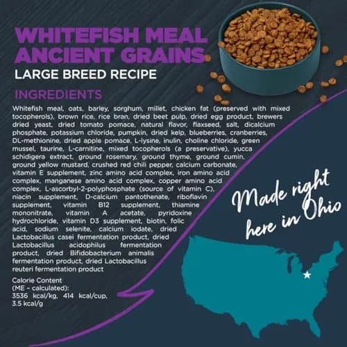Blackwood Large Breed Premium Dry Dog Food, Whitefish & Ancient Grain 24 lb | Supports Joints & Digestion thumbnail 8