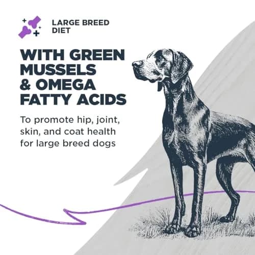 Blackwood Large Breed Premium Dry Dog Food, Whitefish & Ancient Grain 24 lb | Supports Joints & Digestion thumbnail 3