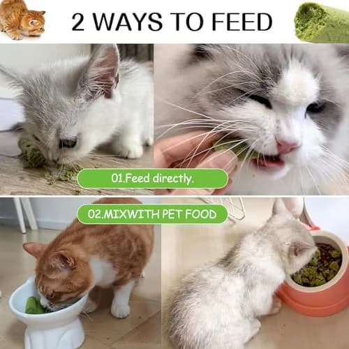 HavenJanny Cat Grass Teething Stick 100g (3.52 oz) | Chicken Flavor for Dental Health & Hairball Control thumbnail 8