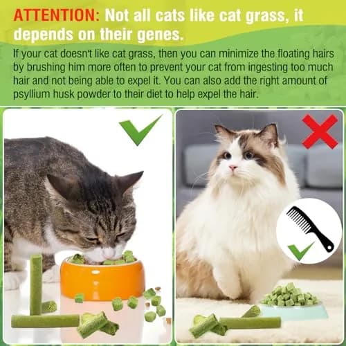 HavenJanny Cat Grass Teething Stick 100g (3.52 oz) | Chicken Flavor for Dental Health & Hairball Control thumbnail 9