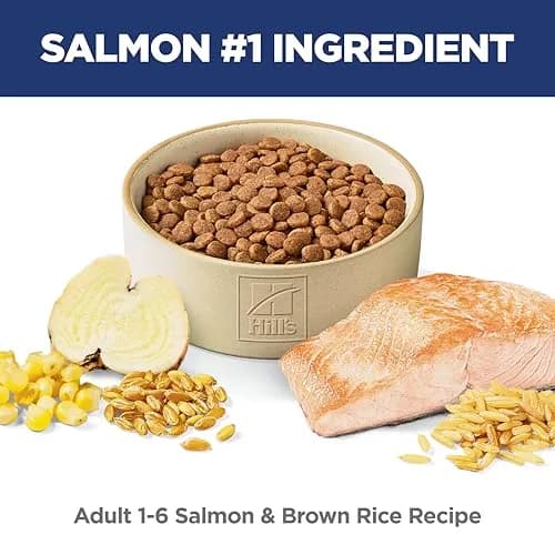 Hill's Science Diet Adult 1-6 Dry Cat Food Salmon & Brown Rice 1.59 kg (3.5 lb) | Veterinarian Recommended for Lean Muscle & Digestion thumbnail 2