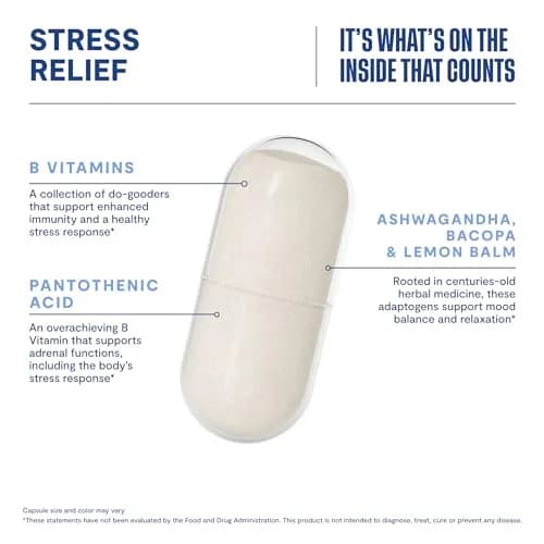 Health By Habit Stress Relief Capsules 60 | Supports Relaxation & Mood Balance, Vegan, Non-GMO thumbnail 3