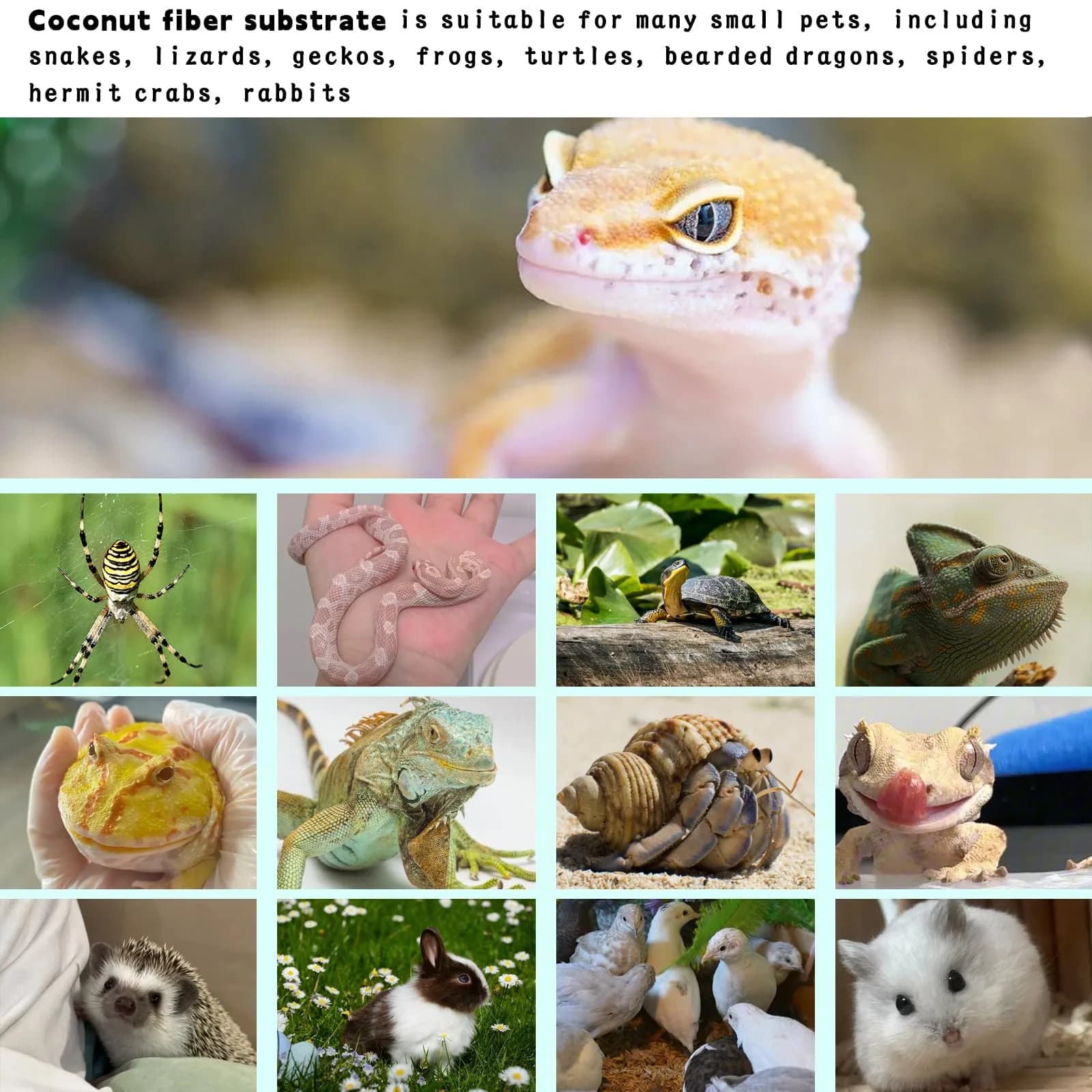 Hamiledyi Natural Coconut Fiber Reptile Carpet 40cm x 399cm (16in x 157in) | Breathable, Odor-Reducing Cage Liner - view 6