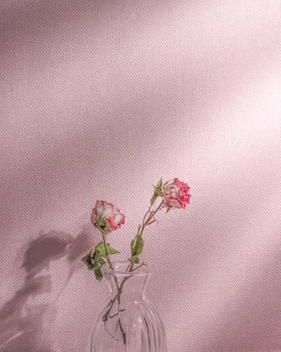 lenify Pink Peel and Stick Wallpaper Grasscloth Paper 15.7in x 196.8in | Vintage Linen Style, Waterproof, Easy to Install thumbnail 8