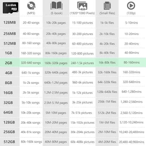 Lerdisk 2GB Micro SD Card Class 6 | Bulk Wholesale Memory for Old Devices thumbnail 3