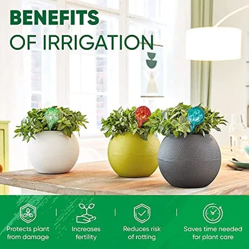 Mission Gallery Plant Watering Globes Set of 4 Small | 100ml Capacity for 5-Day Irrigation thumbnail 4